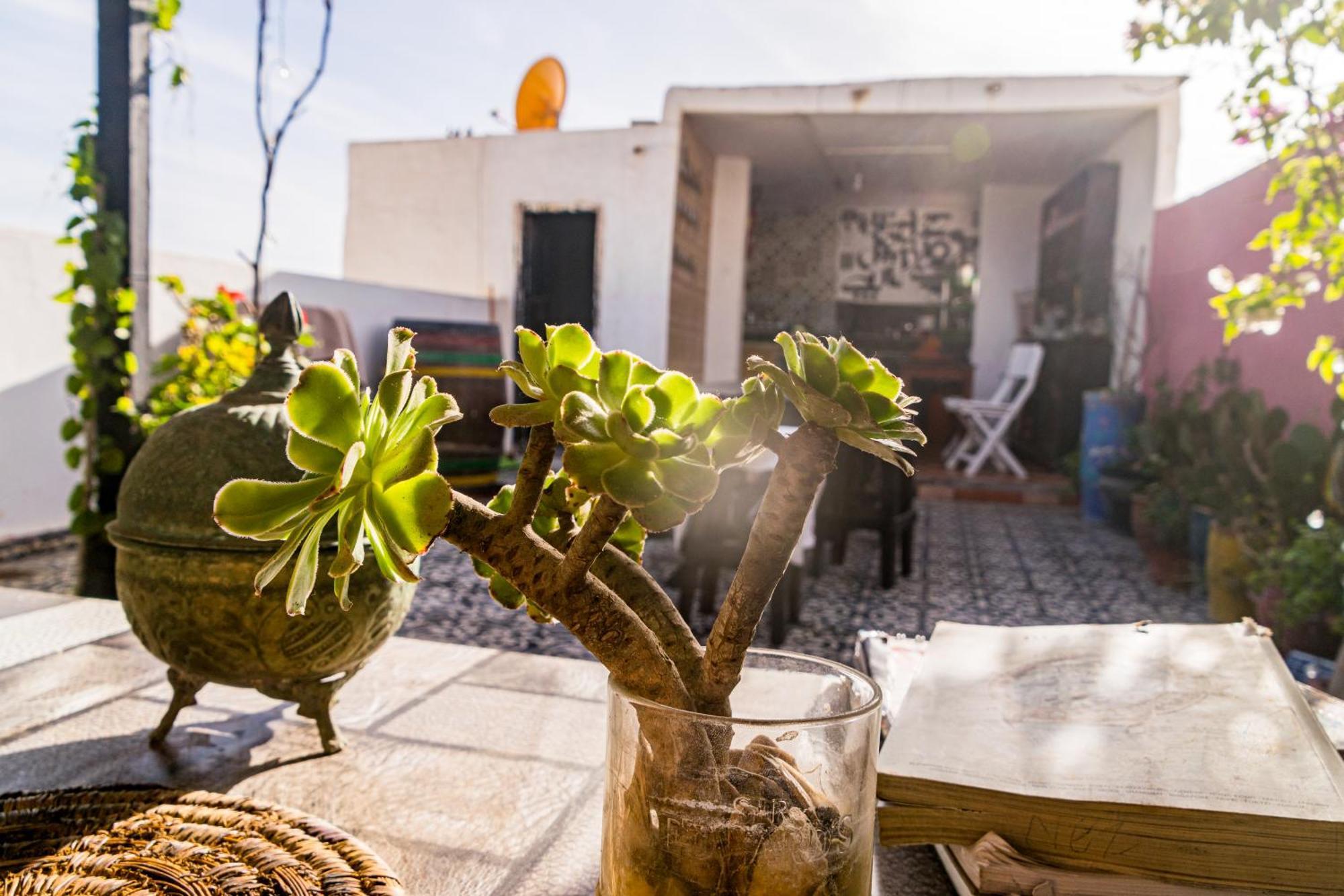 Essaouira Youth Hostel & Social Travel 외부 사진