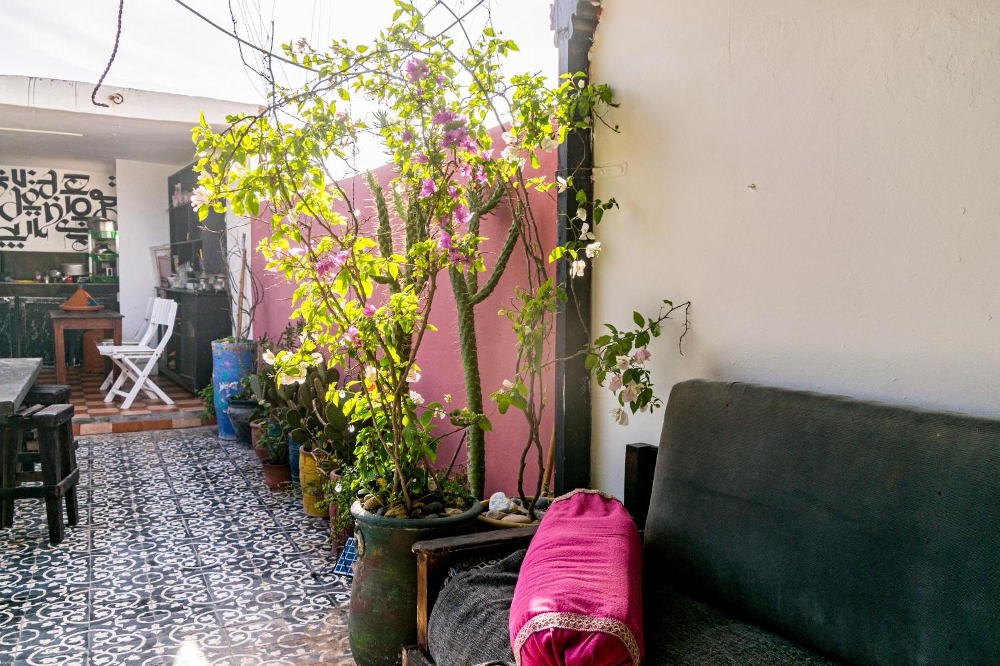 Essaouira Youth Hostel & Social Travel 외부 사진